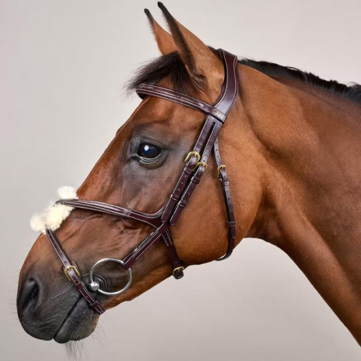Bridon à Muserolle Croisée Dyon Collection Marron dans le groupe Équipement cheval / Briderie & Frontaux / Brides chez Equinest (DYAAACBRCBR_r)