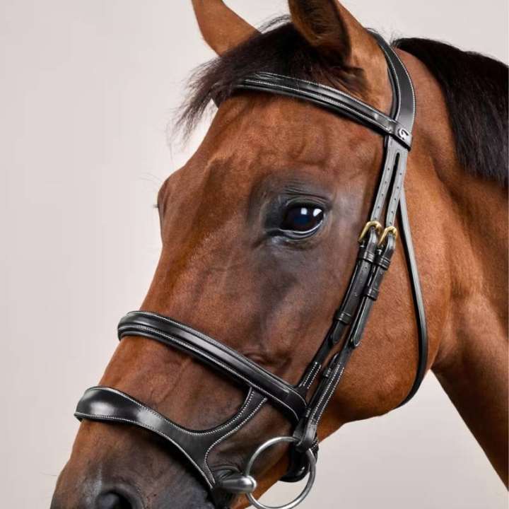 Bridon à Double Muserolle Dyon Collection Noir dans le groupe Équipement cheval / Briderie & Frontaux / Brides chez Equinest (DYAAAHBLCBA_r)