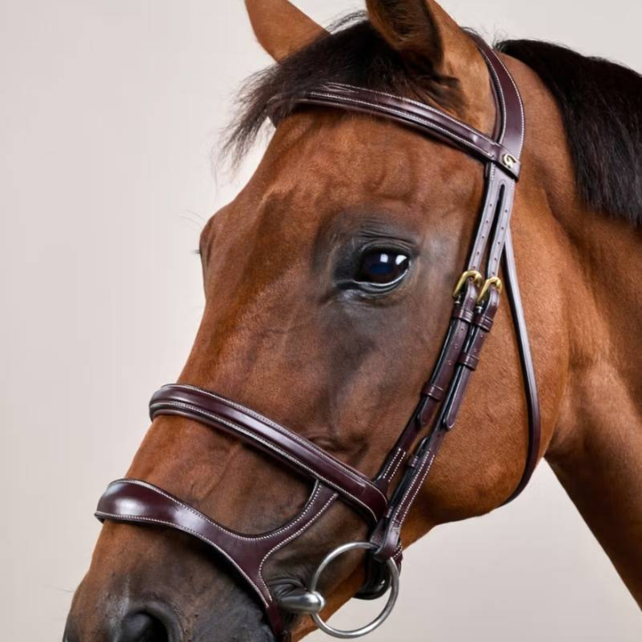 Bridon à Double Muserolle Dyon Collection Marron dans le groupe Équipement cheval / Briderie & Frontaux / Brides chez Equinest (DYAAAHBRCBR_r)