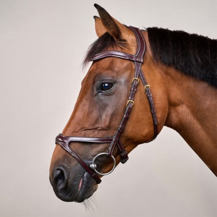 Bridon anatomique DC X-Fit marron dans le groupe Équipement cheval / Briderie & Frontaux / Brides chez Equinest (DYCCCDBr_r)