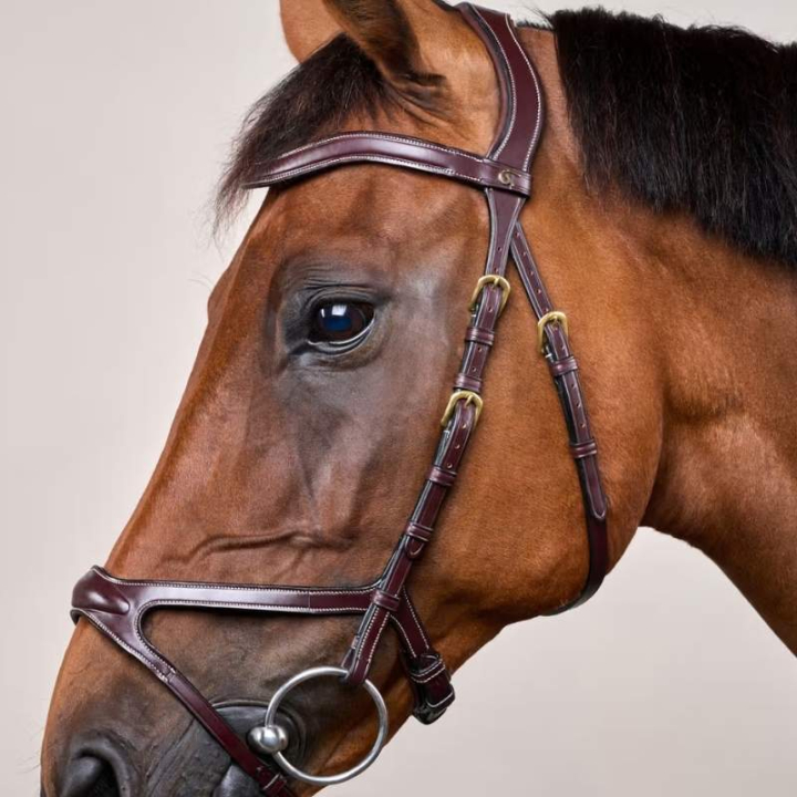Bridon anatomique X-Fit Dyon Collection Marron dans le groupe Équipement cheval / Briderie & Frontaux / Brides chez Equinest (DYCCCDBr_r)