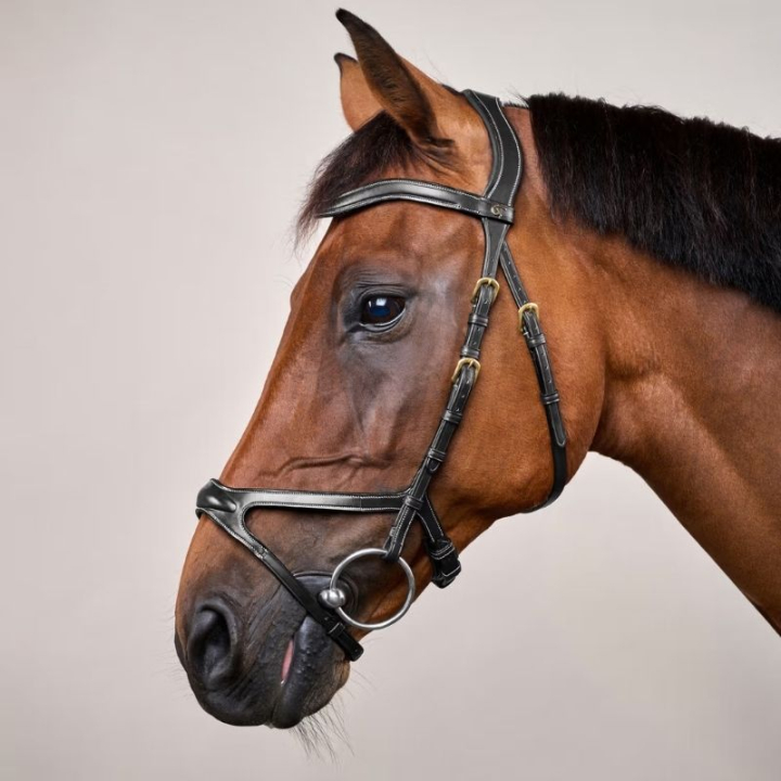 Bridon anatomique DC X-Fit noir dans le groupe Équipement cheval / Briderie & Frontaux / Brides chez Equinest (DYCCCDSv_r)