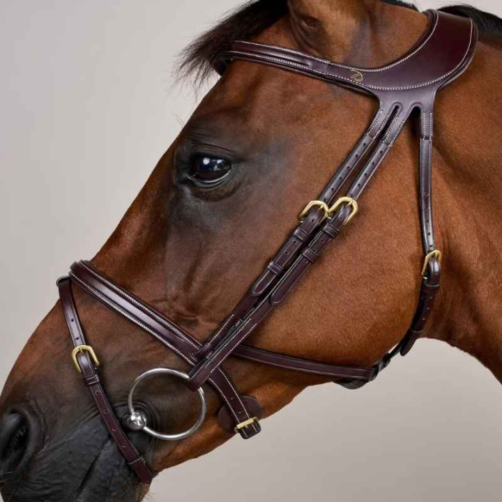 Bridon Difference Dyon Collection Marron dans le groupe Équipement cheval / Briderie & Frontaux / Brides chez Equinest (DYGXAUBRCBR_r)