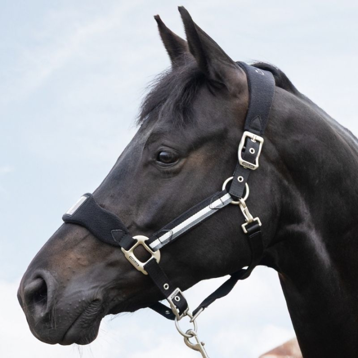 Licol Classic Fleece Noir dans le groupe Équipement cheval / Licols / Longes en tissu et en nylon chez Equinest (E1000403BA_r)