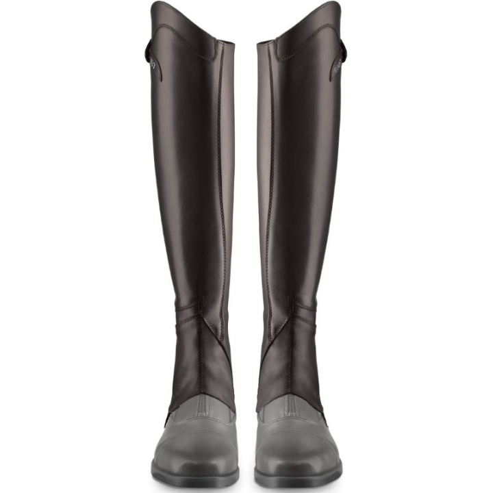 Mini-chaps Lyra Marron dans le groupe Boots, Bottes & Chaps / Chaps chez Equinest (E60201N0BR_r)