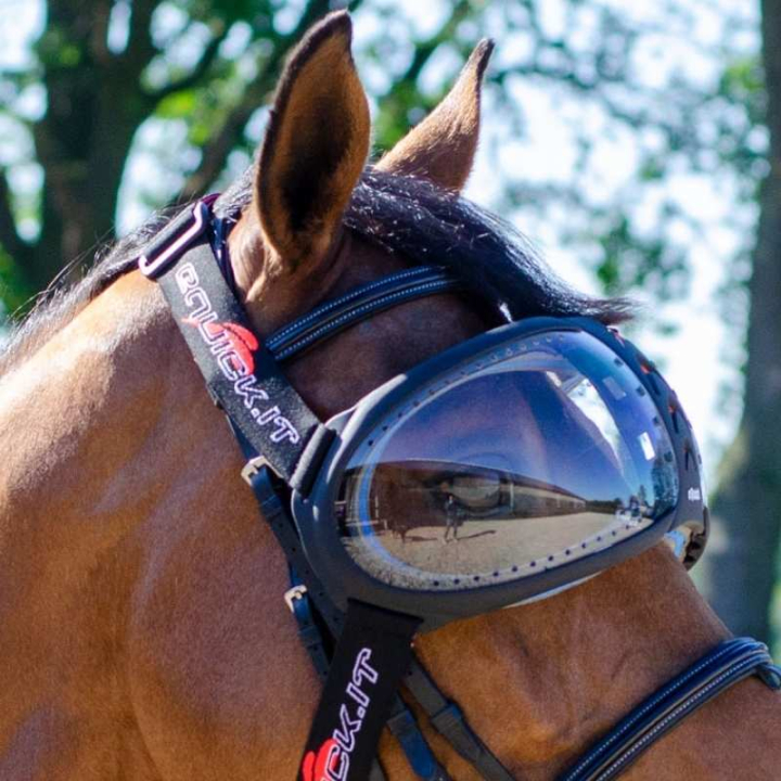 eVysor Transparent  dans le groupe Équipement cheval / Accessoires chez Equinest (EVYSOR1)