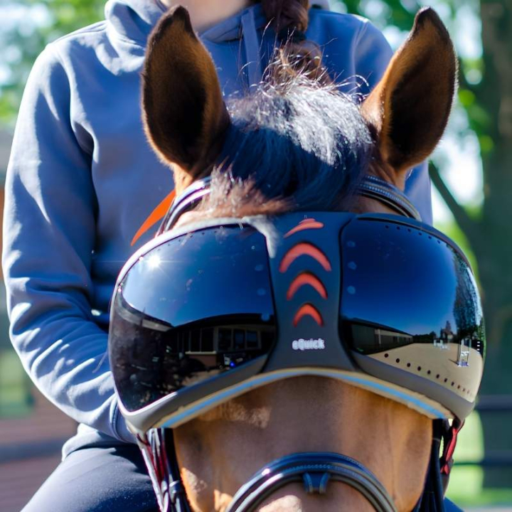 eVysor Darker  dans le groupe Équipement cheval / Accessoires chez Equinest (EVYSOR2)