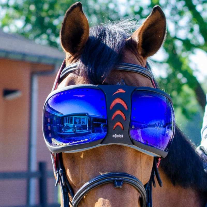eVysor Mirrored Blue dans le groupe Équipement cheval / Accessoires chez Equinest (EVYSOR3BL)