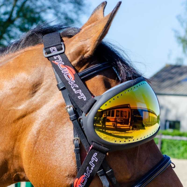 eVysor Mirrored Orange dans le groupe Équipement cheval / Accessoires chez Equinest (EVYSOR4OR)