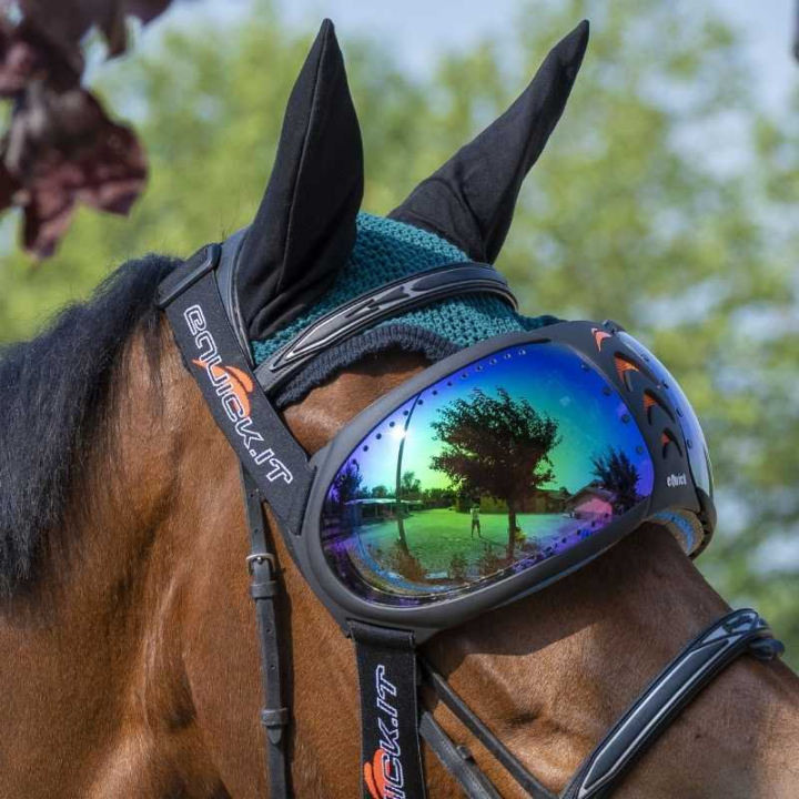eVysor Mirrored Green  dans le groupe Équipement cheval / Accessoires chez Equinest (EVYSOR5GN)