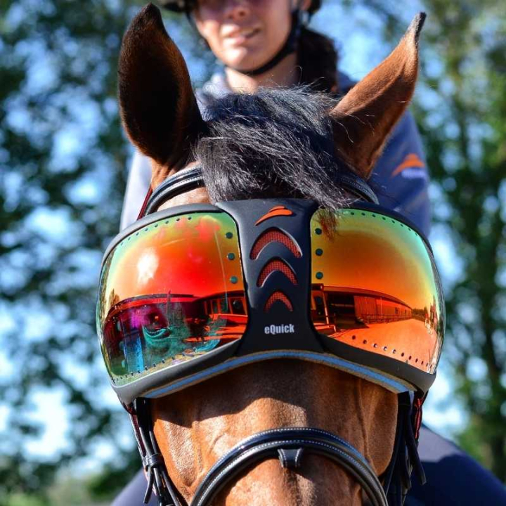 eVysor Mirrored Rainbow dans le groupe Équipement cheval / Accessoires chez Equinest (EVYSOR6)