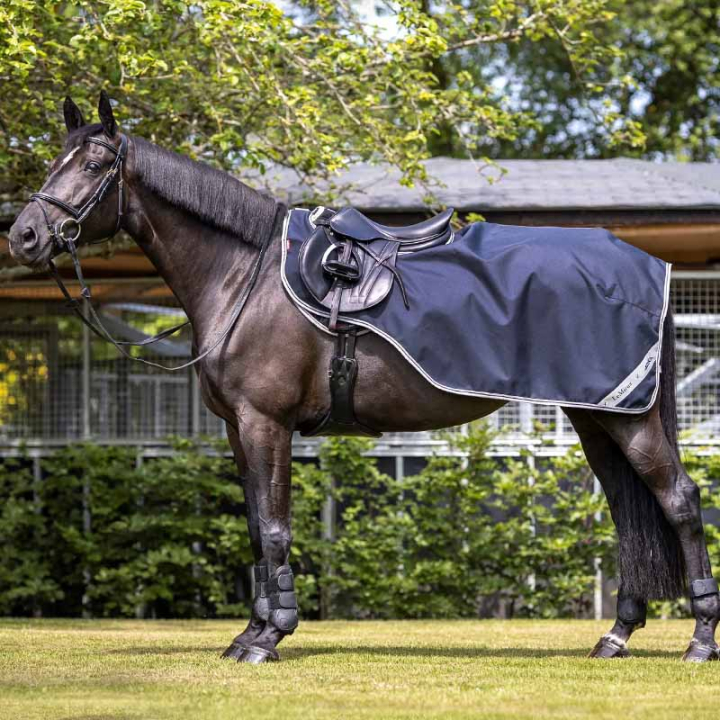 Couvre-rein Arika Bleu Marine dans le groupe Couvertures cheval / Couvertures de marcheur & couvre-reins chez Equinest (IT01039003NA_r)
