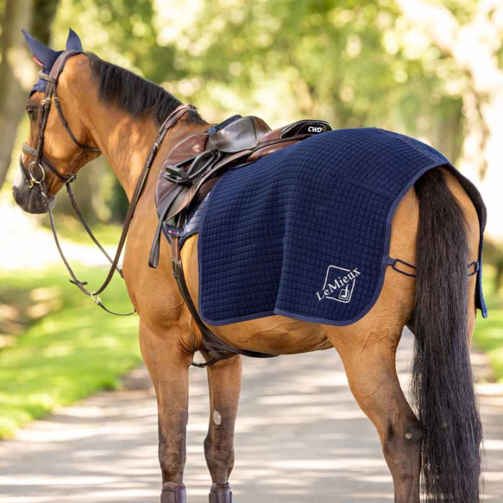 Couvre-rein Clima-Tek Quarter Bleu Marine dans le groupe Couvertures cheval / Couvertures de marcheur & couvre-reins chez Equinest (IT04514003NA_r)