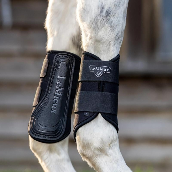 Guêtres fermées Grafter Noir/Noir dans le groupe Équipement cheval / Protections des Membres / Guêtres fermées & Guêtres de dressage chez Equinest (IT04916003BABA_r)