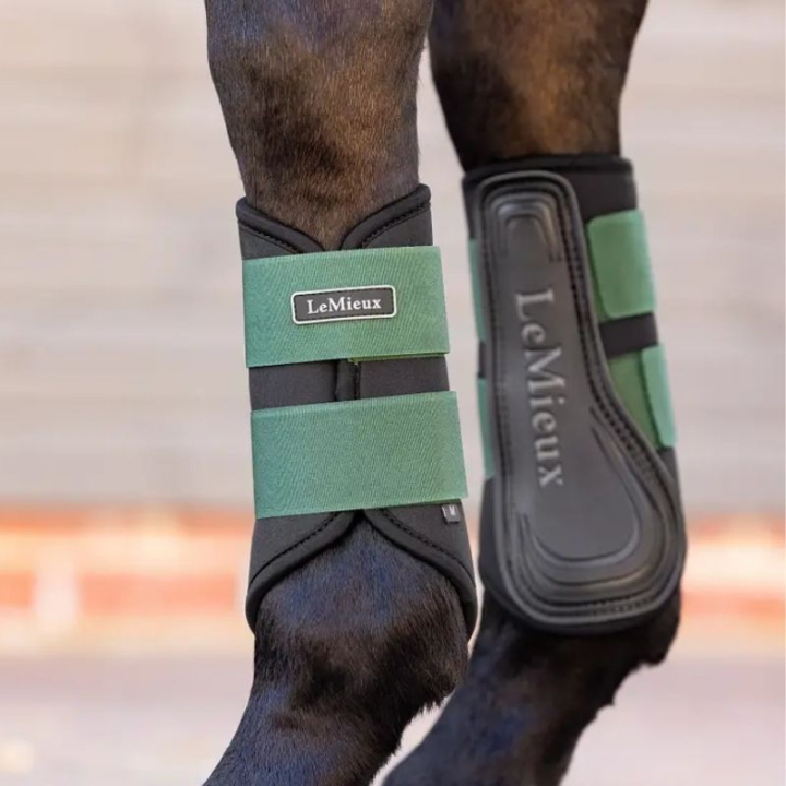 Guêtres fermées Grafter Noir/Vert dans le groupe Équipement cheval / Protections des Membres / Guêtres fermées & Guêtres de dressage chez Equinest (IT04919003BAOGN_r)