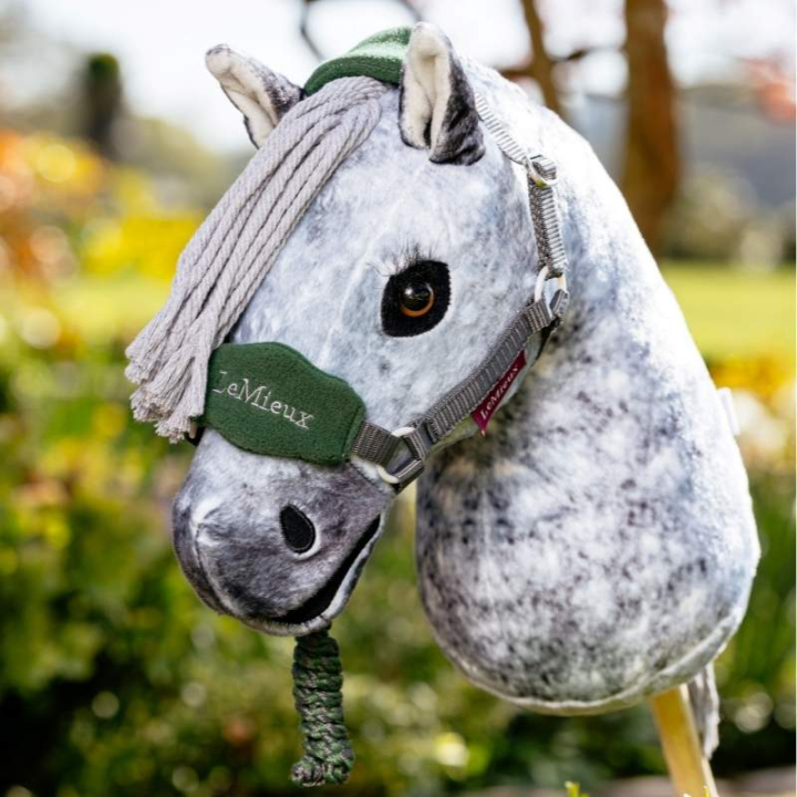 Licol & Longe pour Cheval-bâton Vogue Vert dans le groupe Chevaux-bâtons & Chevaux jouets / Équipement pour cheval-bâton chez Equinest (IT071230GN)
