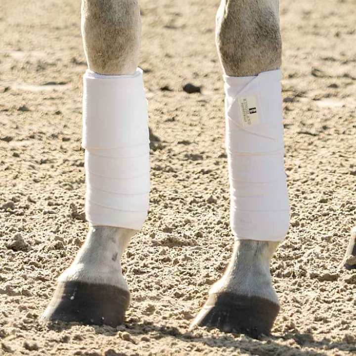 Bandages polaires Classiques 2-pack Blanc dans le groupe Équipement cheval / Protections des Membres / Bandages chez Equinest (KLC-HG-759VI-ONESIZE)