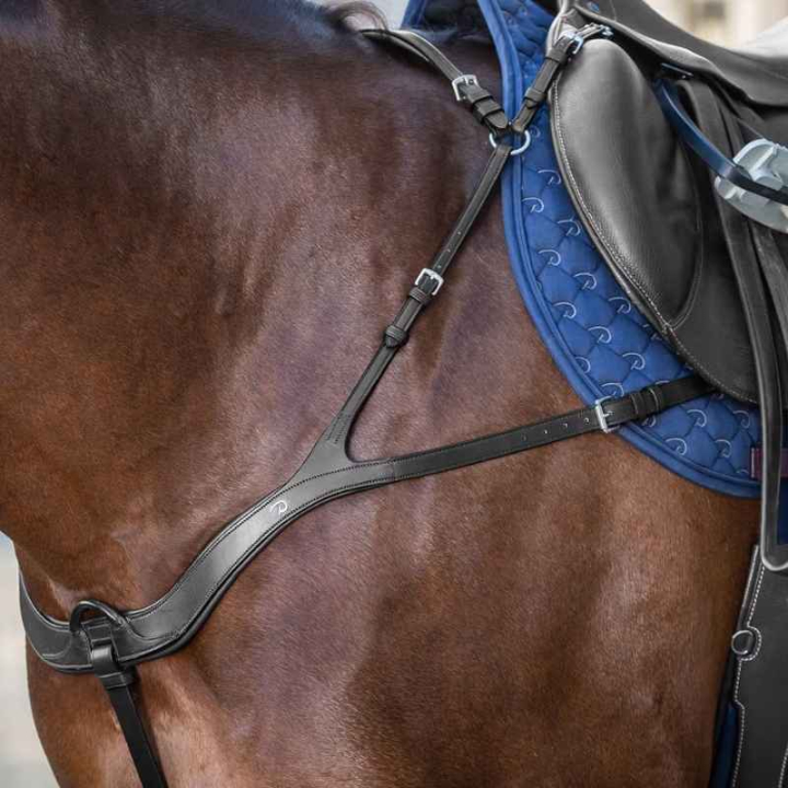 Collier de chasse Anatomical New English Collection Noir dans le groupe Équipement cheval / Martingales & Enrênements / Colliers de chasse chez Equinest (NE06BBLCBA_r)