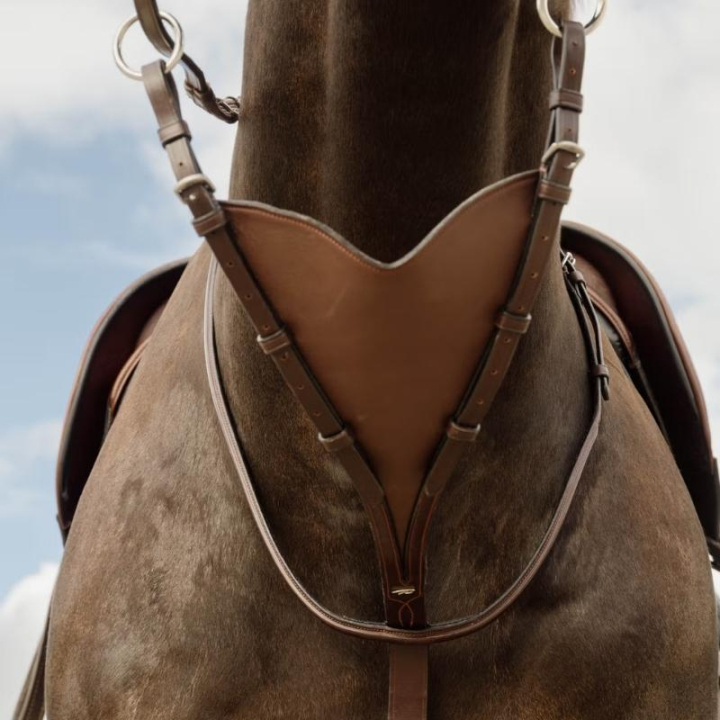 Martingale Soft Bib New English Collection Marron dans le groupe Équipement cheval / Martingales & Enrênements / Martingales chez Equinest (NE07KBRCBR_r)