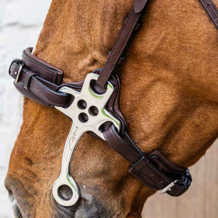 Hackamore New English Collection Marron dans le groupe Équipement cheval / Mors / Hackamore chez Equinest (NE1400105BR_r)