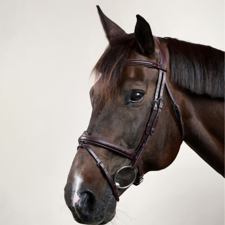 Bridon combiné relevé NE marron dans le groupe Équipement cheval / Briderie & Frontaux / Brides chez Equinest (NEAAAABr_r)