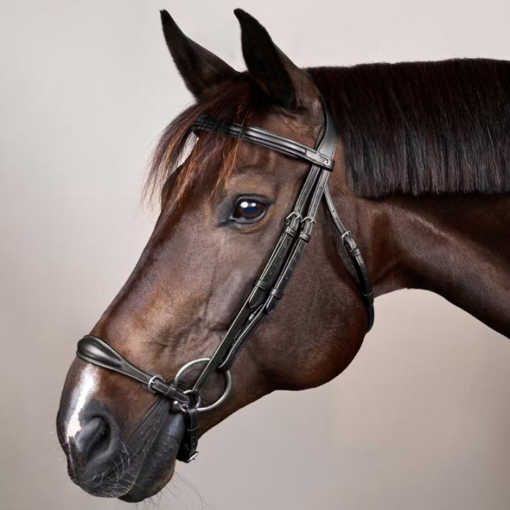 Bridon à Muserolle Allemande New English Collection Noir dans le groupe Équipement cheval / Briderie & Frontaux / Brides et brides de dressage chez Equinest (NEAAAEBLCBA_r)