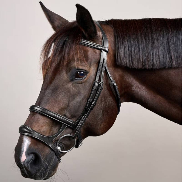 Bridon à Double Muserolle New English Collection Noir dans le groupe Équipement cheval / Briderie & Frontaux / Brides chez Equinest (NEAAAHBLCBA_r)