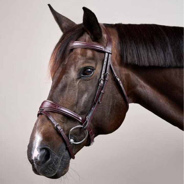 Bridon à muserolle anatomique NE Marron dans le groupe Équipement cheval / Briderie & Frontaux / Brides chez Equinest (NEABABBr_r)