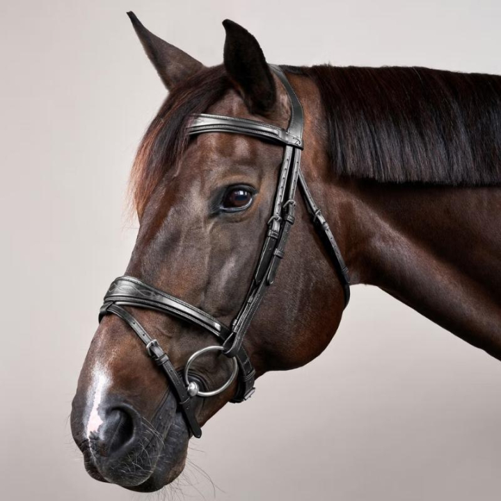 Bridon à muserolle anatomique NE Noir dans le groupe Équipement cheval / Briderie & Frontaux / Brides chez Equinest (NEABABSv_r)