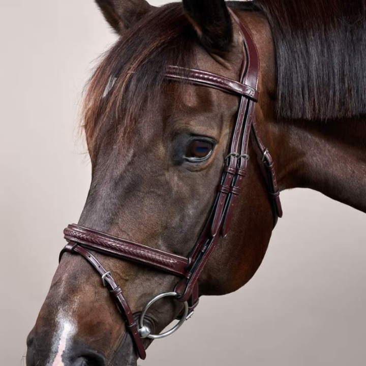 Bridon Muserolle combinée Plaited New English Collection Marron dans le groupe Équipement cheval / Briderie & Frontaux / Brides chez Equinest (NEAOAKBRCBR_r)
