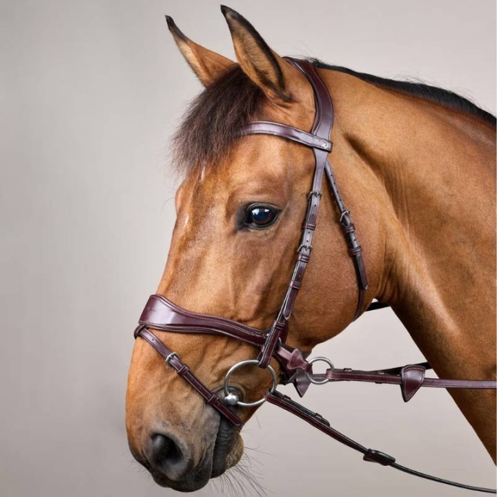 Bridon D Motion New English Collection Marron dans le groupe Équipement cheval / Briderie & Frontaux / Hackamores & Bridons sans mors chez Equinest (NECCCWBRCBR_r)