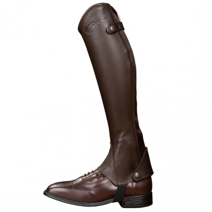 Chaps Classic Marron dans le groupe Boots, Bottes & Chaps / Chaps chez Equinest (RI11ABRLBR_r)