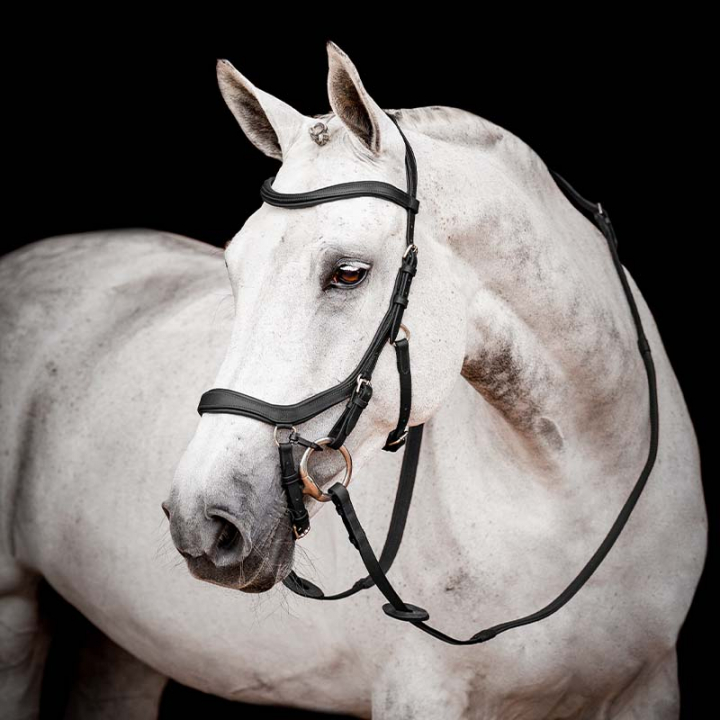 Bridon Micklem 2 Competition noir dans le groupe Équipement cheval / Briderie & Frontaux / Brides chez Equinest (SBMOM0BA)