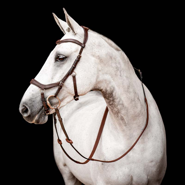 Bridon Micklem 2 Competition marron foncé dans le groupe Équipement cheval / Briderie & Frontaux / Brides chez Equinest (SBMOM0DBR)