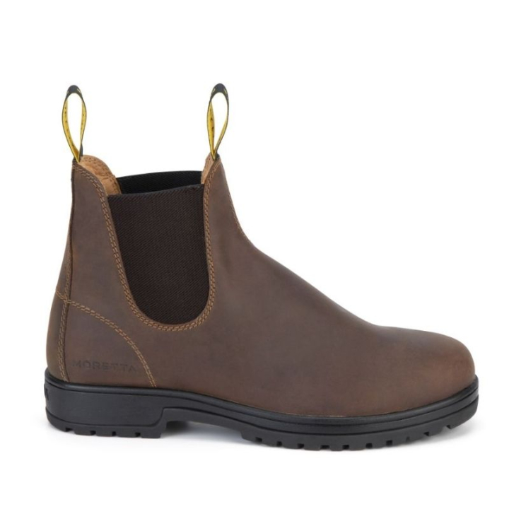 Boots d'écurie Ettore Marron dans le groupe Boots, Bottes & Chaps / Boots d'équitation chez Equinest (SH112040BR_r)