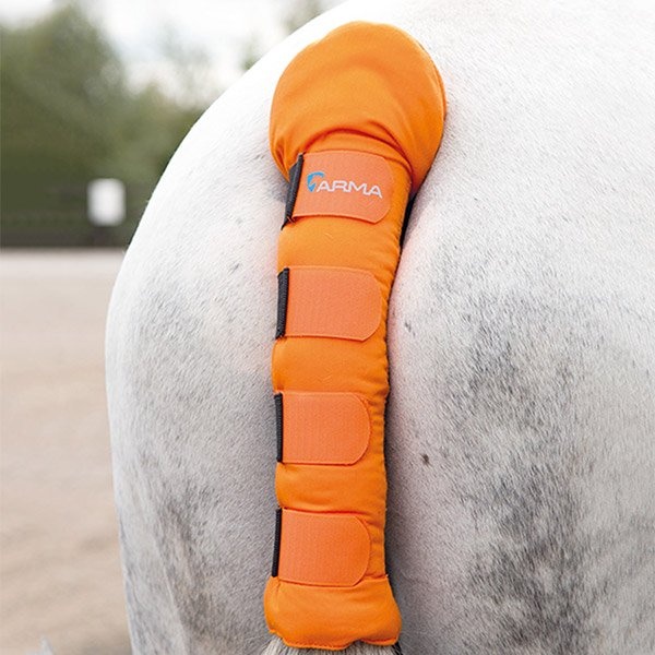Protège-queue ARMA Tail Guard Orange dans le groupe Équipement cheval / Accessoires / Protège-queue chez Equinest (SH1836-ONESIZEOR)