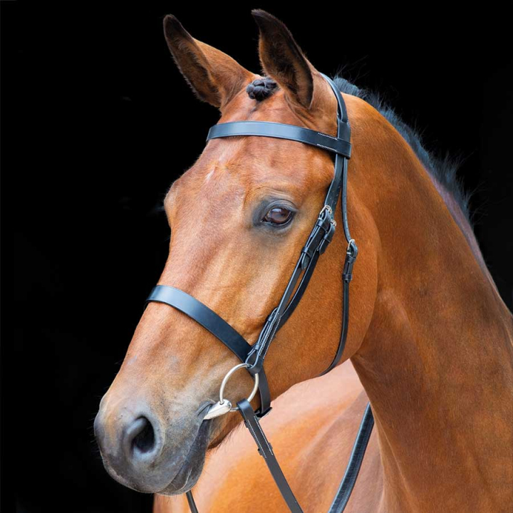 Bridon avec rênes Salisbury Berrington Noir dans le groupe Équipement cheval / Briderie & Frontaux / Brides chez Equinest (SH27601Sv_r)