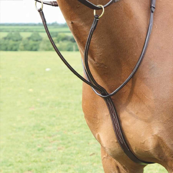 Martingale Salisbury Marron dans le groupe Équipement cheval / Martingales & Enrênements / Martingales chez Equinest (SH28301Br_r)