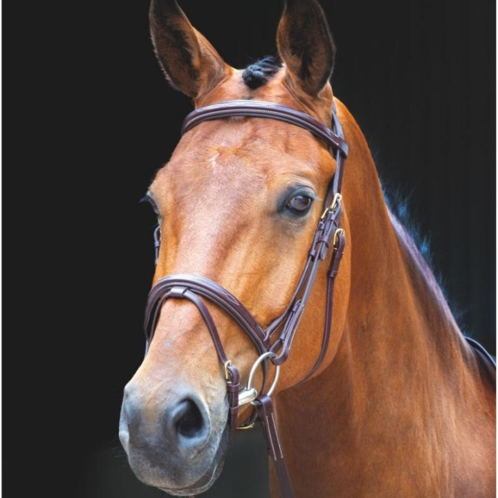 Bridon avec rênes Salisbury Bodenham Marron dans le groupe Équipement cheval / Briderie & Frontaux / Brides chez Equinest (SH29301Br_r)