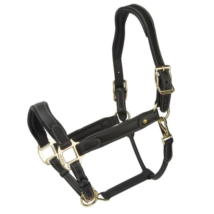 Licol en cuir LUSSO Lorca Noir dans le groupe Équipement cheval / Licols / Longes en cuir chez Equinest (SH425301BA_r)