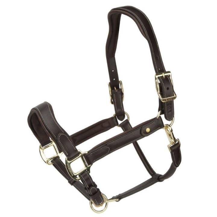 Licol en cuir LUSSO Lorca Marron dans le groupe Équipement cheval / Licols / Longes en cuir chez Equinest (SH425303BR_r)