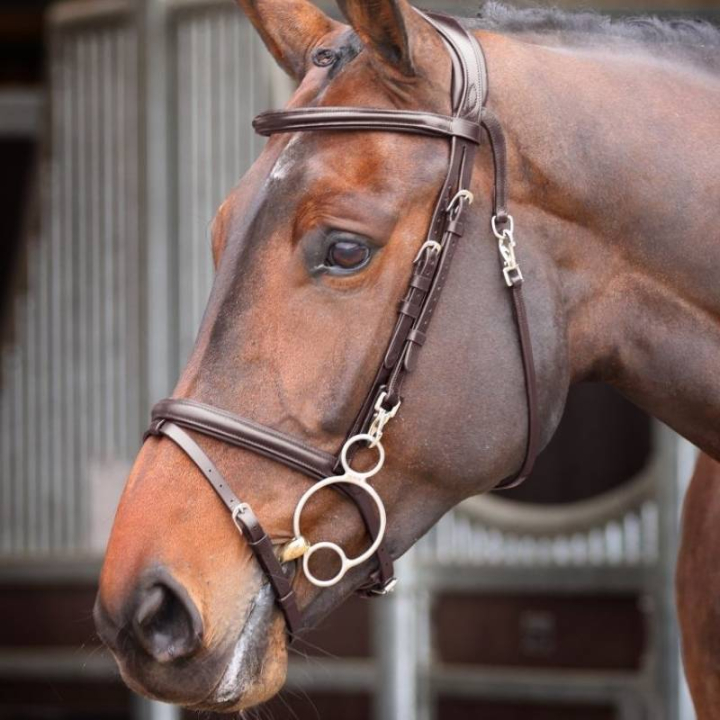 Bridon Quick Release Rapida Marron dans le groupe Équipement cheval / Briderie & Frontaux / Brides chez Equinest (SH512503BR_r)