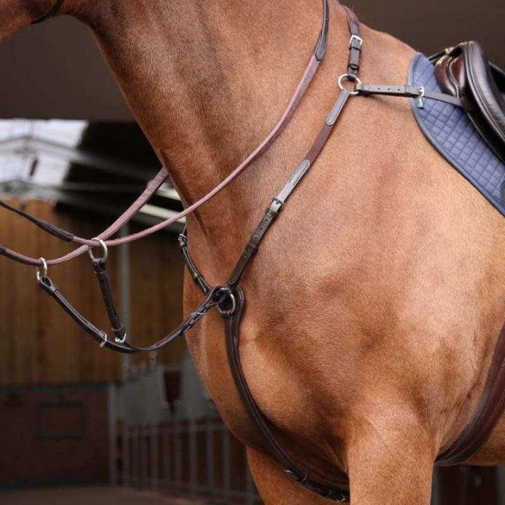 Collier de chasse avec martingale Rapida Marron dans le groupe Équipement cheval / Martingales & Enrênements / Colliers de chasse chez Equinest (SH513503BR_r)