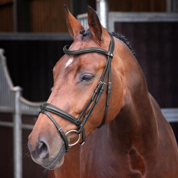 Bridon LUSSO Elite Noir dans le groupe Équipement cheval / Briderie & Frontaux / Brides chez Equinest (SH514701BA_r)