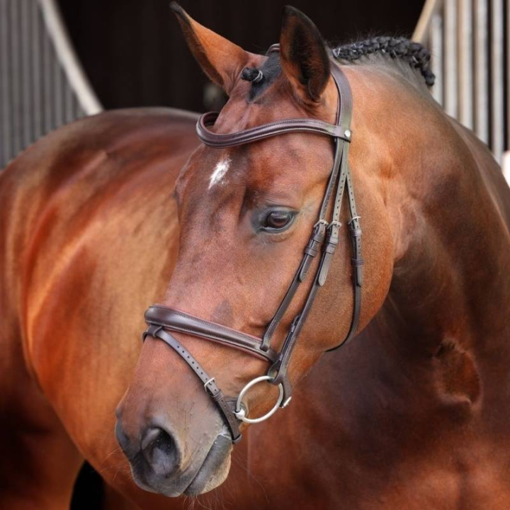 Bridon LUSSO Elite Marron dans le groupe Équipement cheval / Briderie & Frontaux / Brides chez Equinest (SH514703BR_r)