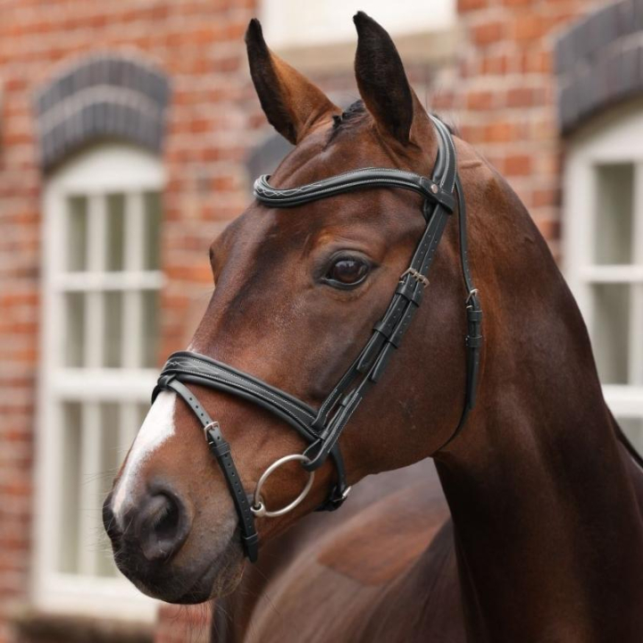 Bridon Muserolle Rembourrée LUSSO Opus 180M Noir dans le groupe Équipement cheval / Briderie & Frontaux / Brides chez Equinest (SH515401BA_r)