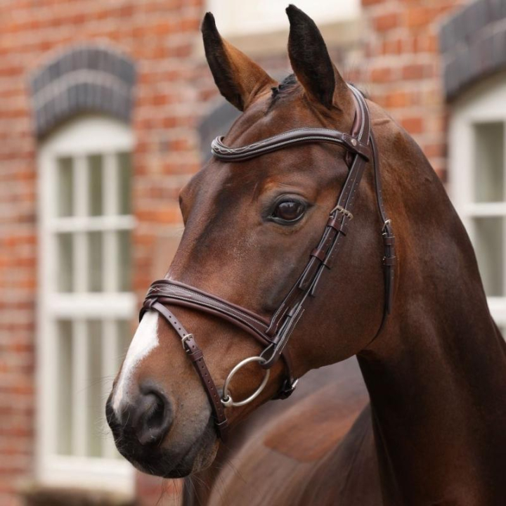 Bridon Muserolle Rembourrée LUSSO Opus 180M Marron dans le groupe Équipement cheval / Briderie & Frontaux / Brides chez Equinest (SH515403BR_r)