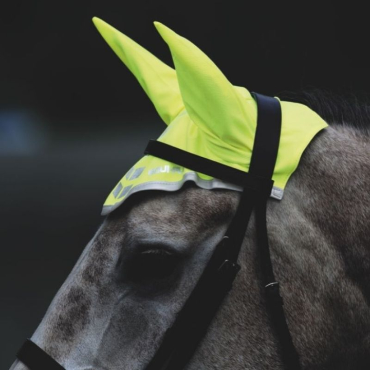 Bonnet Reflective Jaune dans le groupe Équipement d'équitation / Réflecteurs chez Equinest (SH940142PYE_r)