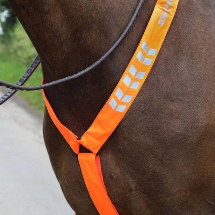 Collier de chasse Reflective Orange dans le groupe Équipement d'équitation / Réflecteurs chez Equinest (SH940540PCOR_r)