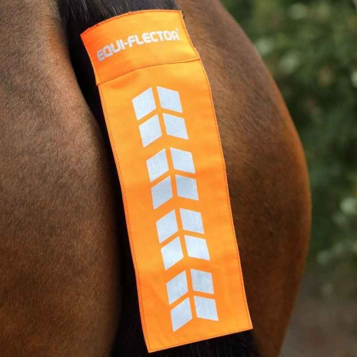 Réflexe de la queue Orange dans le groupe Équipement d'équitation / Réflecteurs chez Equinest (SH941840OR)